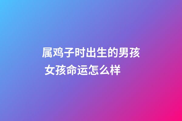 属鸡子时出生的男孩 女孩命运怎么样